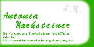 antonia marksteiner business card